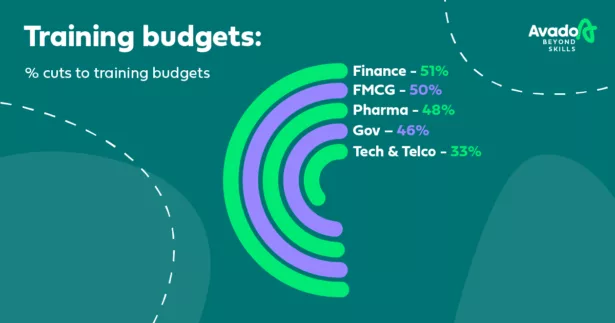 Beyond Skills Budget